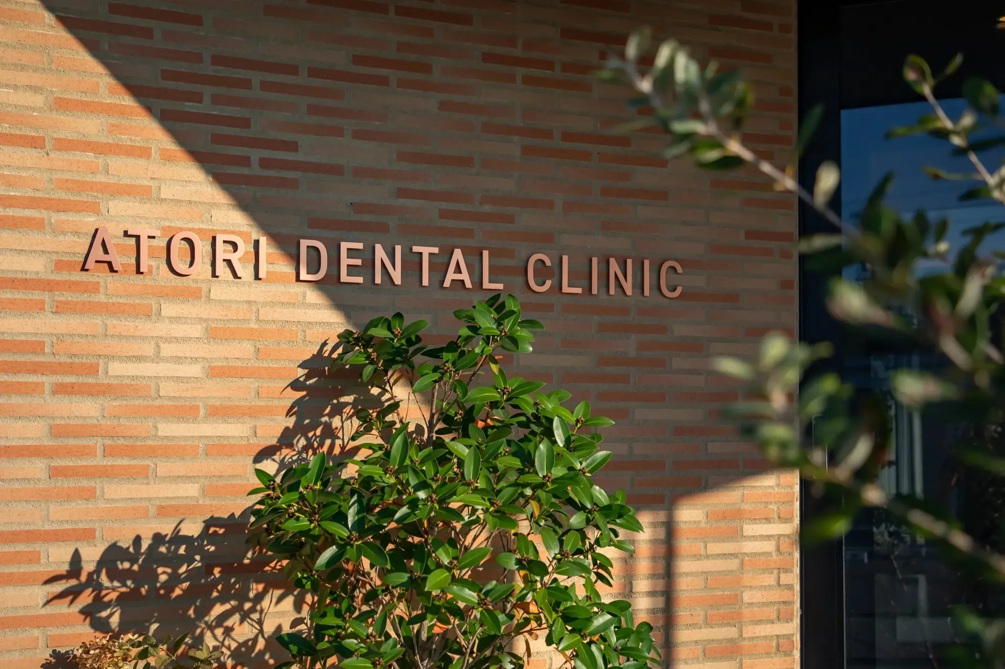 Atori Dental Clinic interior
