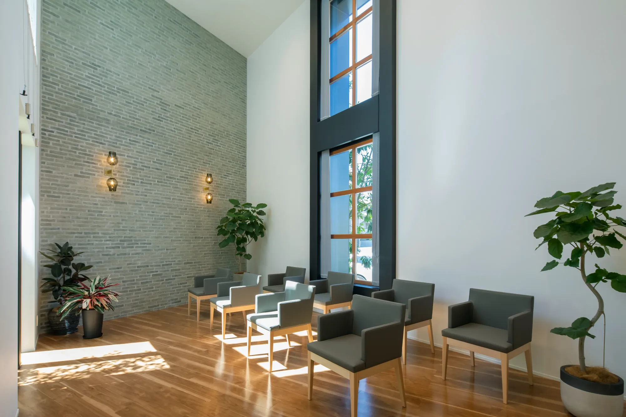 Ohno Dental Clinic interior