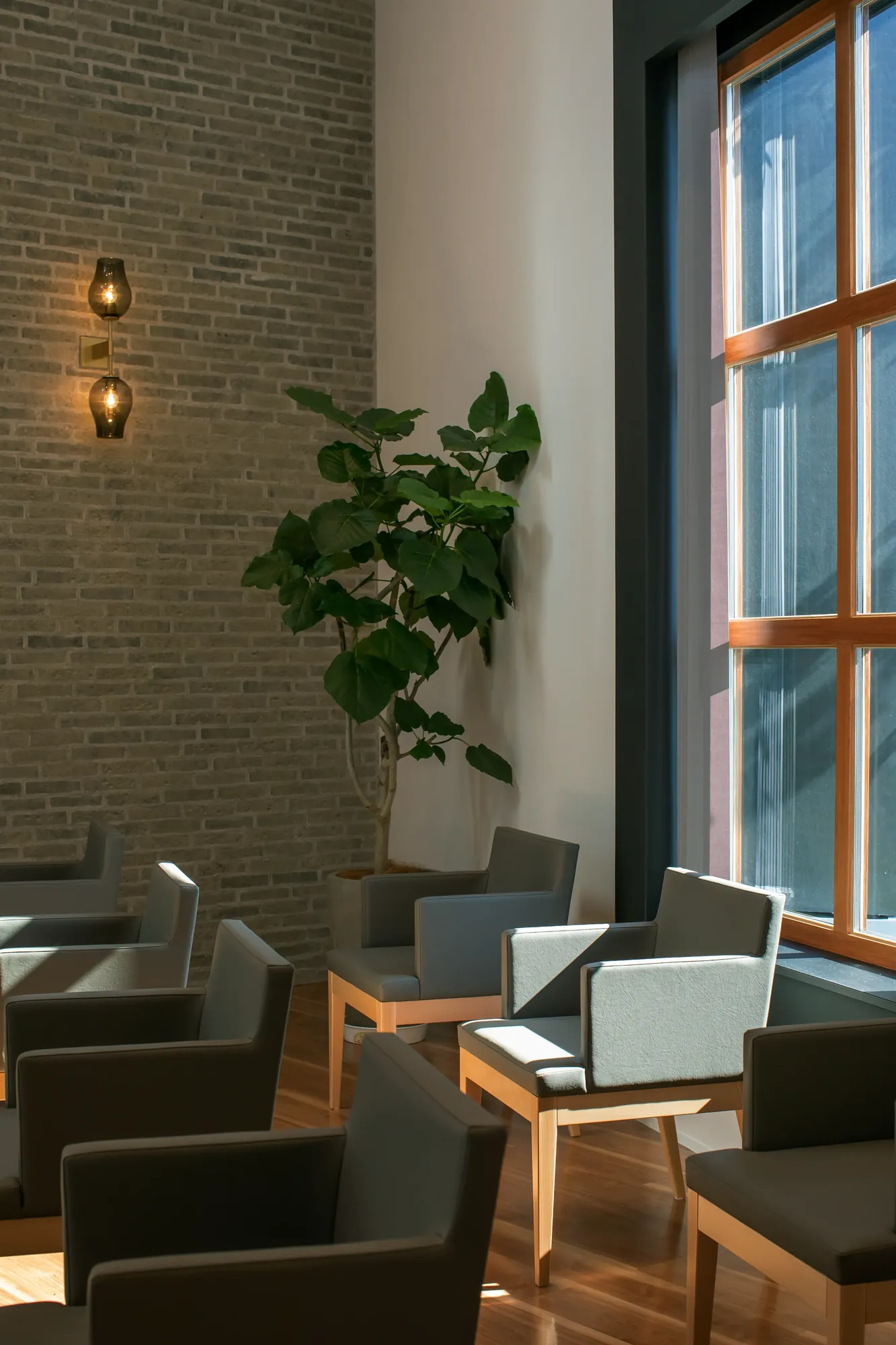 Ohno Dental Clinic interior