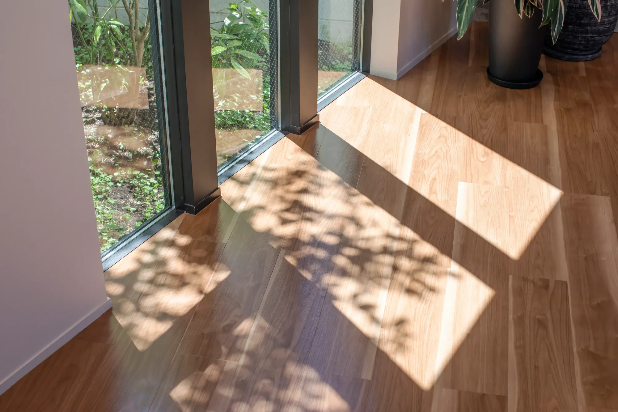 Ohno Dental Clinic interior