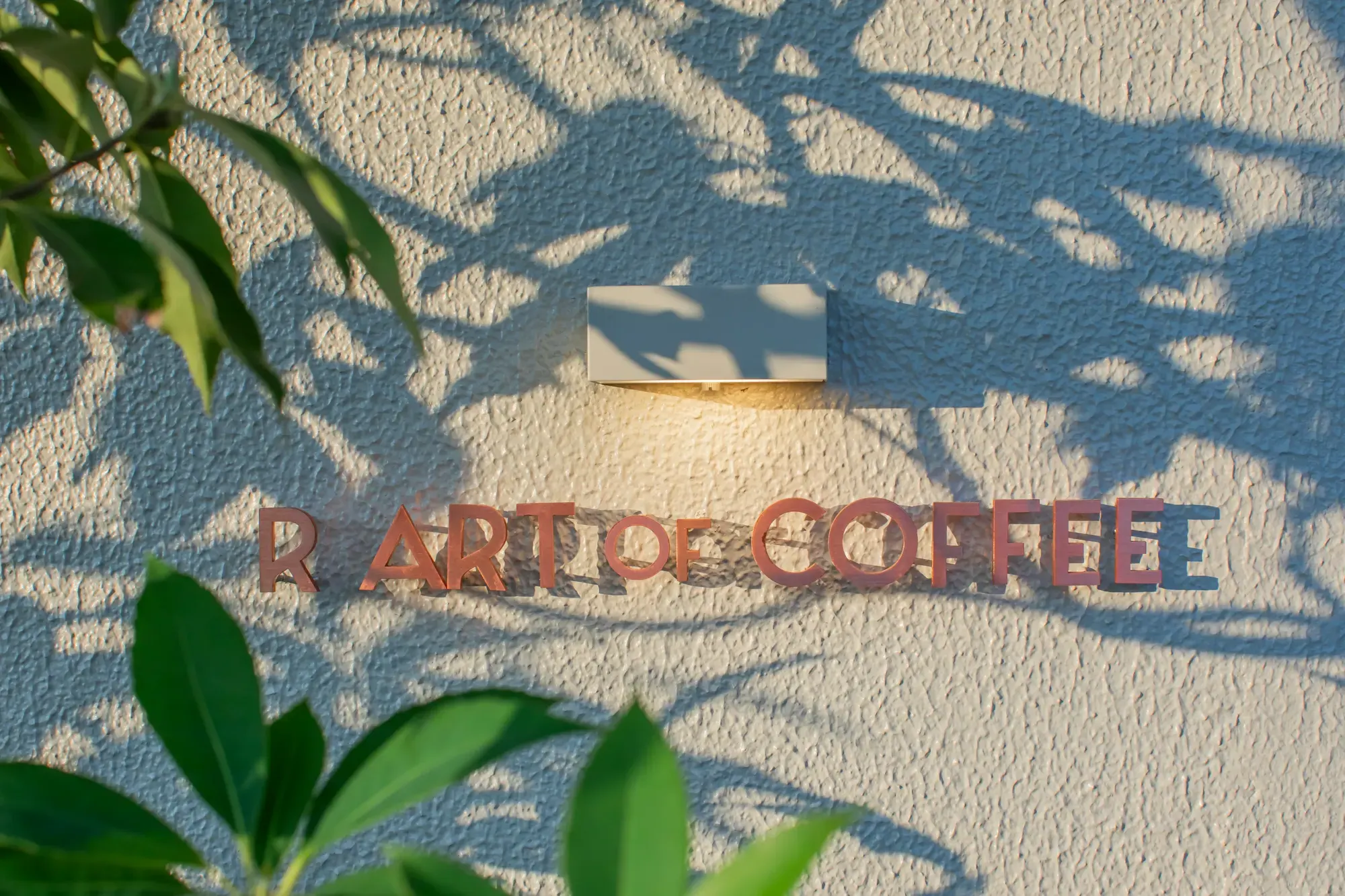 R ART OF COFFEE Motoyama interior